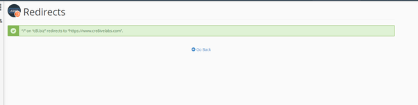 cPanel Redirect Step8