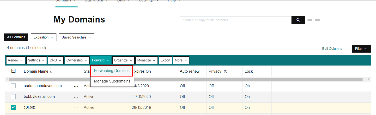 GoDaddy My Domains Forwarding Domain Screenshot