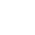 WordPress technology icon